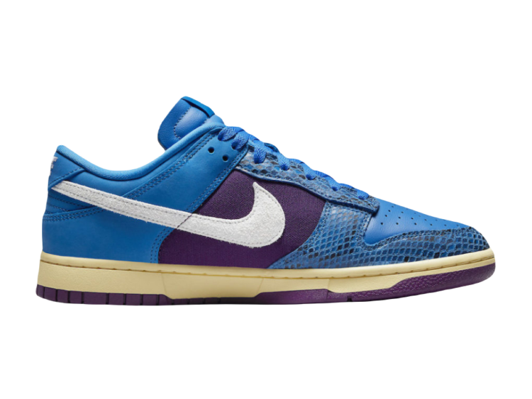 Nike Dunk Low Undefeated 5 On It