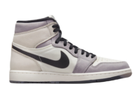 Nike Air Jordan 1 High Element Gore-Tex Light Bone