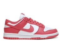 Nike Dunk Low Archeo Pink (W)