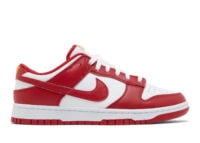 Nike Dunk Low USC