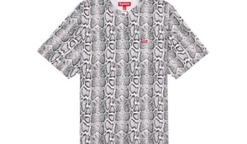 Supreme Small Box Tee (SS24) Snake