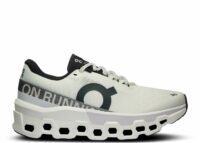 on running cloudmonster 2 white frost (w)