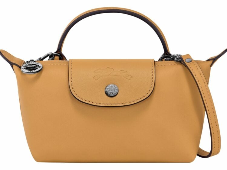 longchamp le pliage xtra xs pouch leather honey