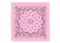 Kujten Small Cashmere Bandana Hachi Bubblegum Pink