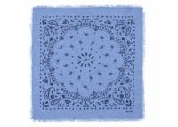 Kujten Small Cashmere Bandana Hachi Denim Jeans