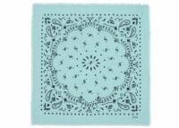 Kujten Large Cashmere Bandana Hachiko Pastel Green