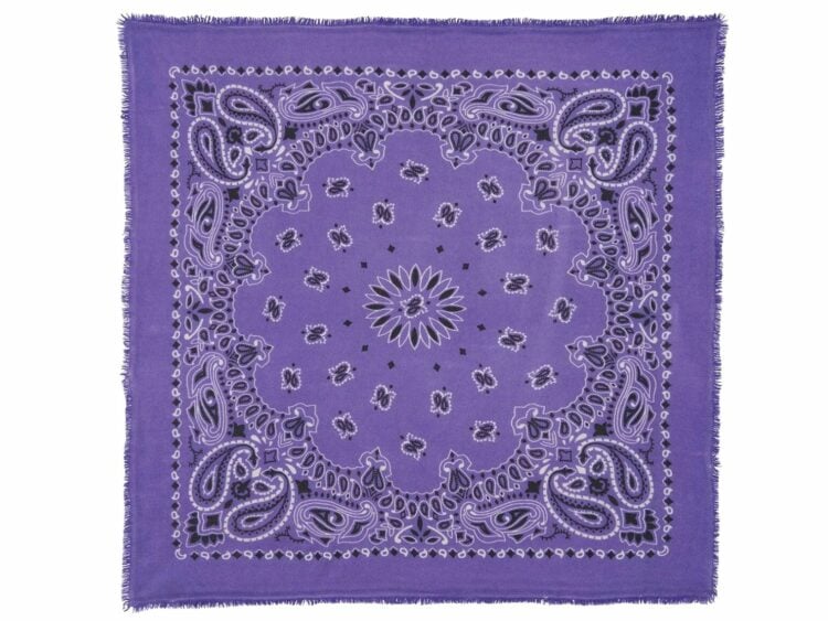 kujten large cashmere bandana hachiko purple