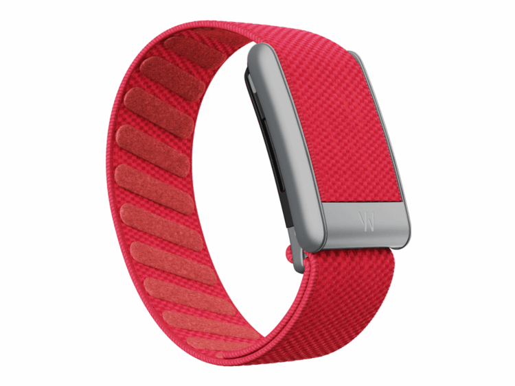whoop 5.0 rhodonite superknit band 12 month peak membership