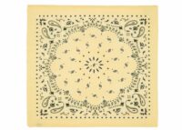 Kujten Large Cashmere Bandana Hachiko Bico Jaune Egg