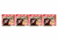 2026 Pokémon Mega Evolution Ascended Heroes Charmander Tech Sticker Collection 4x Lot