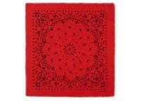 Kujten Large Cashmere Bandana Hachiko Rouge Corail