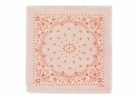kujten small cashmere bandana hachi bico skin 1 1