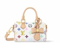louis vuitton x takashi murakami nano speedy multicolored 1 1