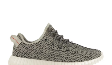 adidas Yeezy Boost 350 Turtledove (2022)
