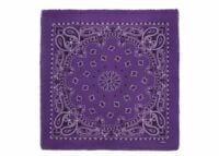 kujten small cashmere bandana hachi bico purple 1 1