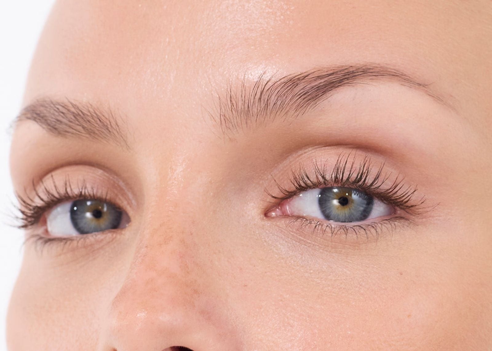 refy lash sculpt brown 2 1