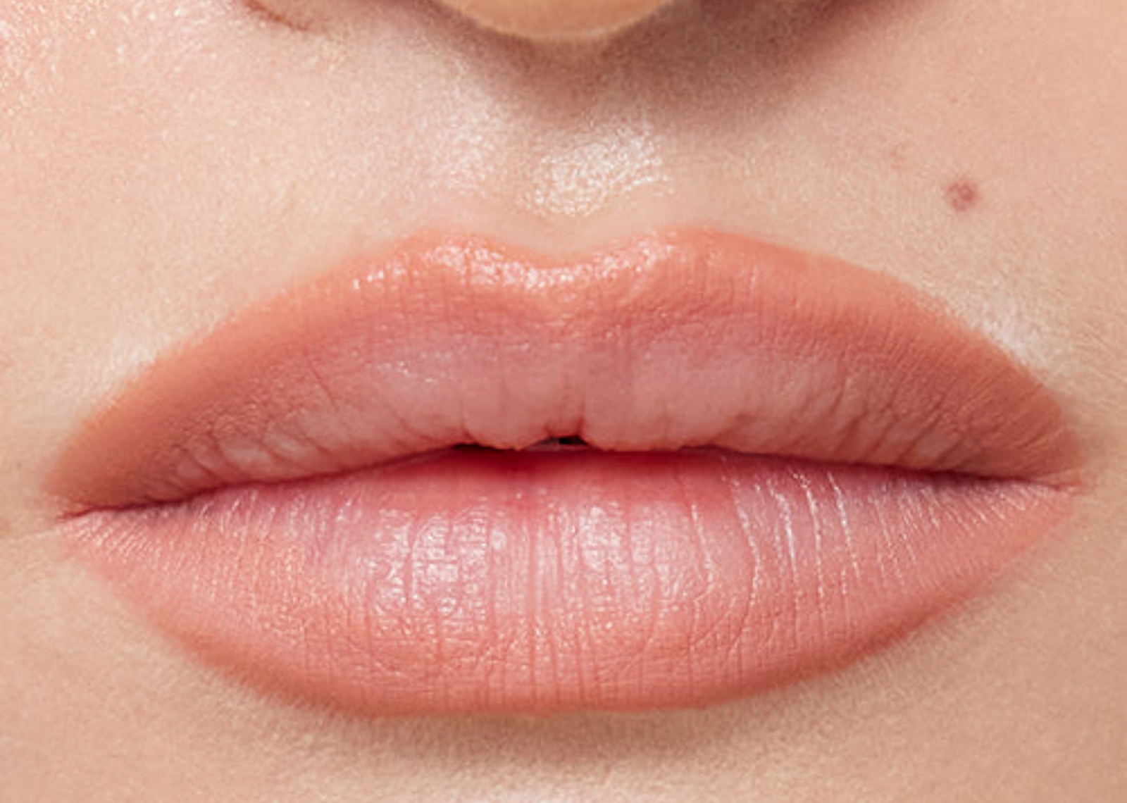 refy lip sculpt oat 2 1