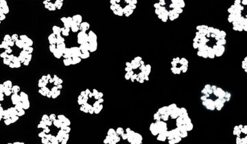 Denim Tears Rehberi: Cotton Wreath, Modeller ve Beden