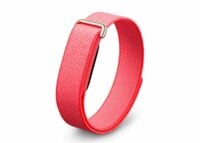 google fitbit air berry 1 1