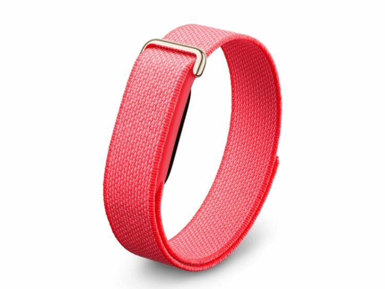 google fitbit air berry 1 1