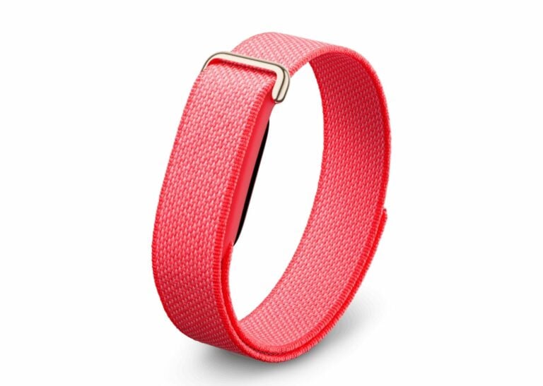 Google Fitbit Air Berry