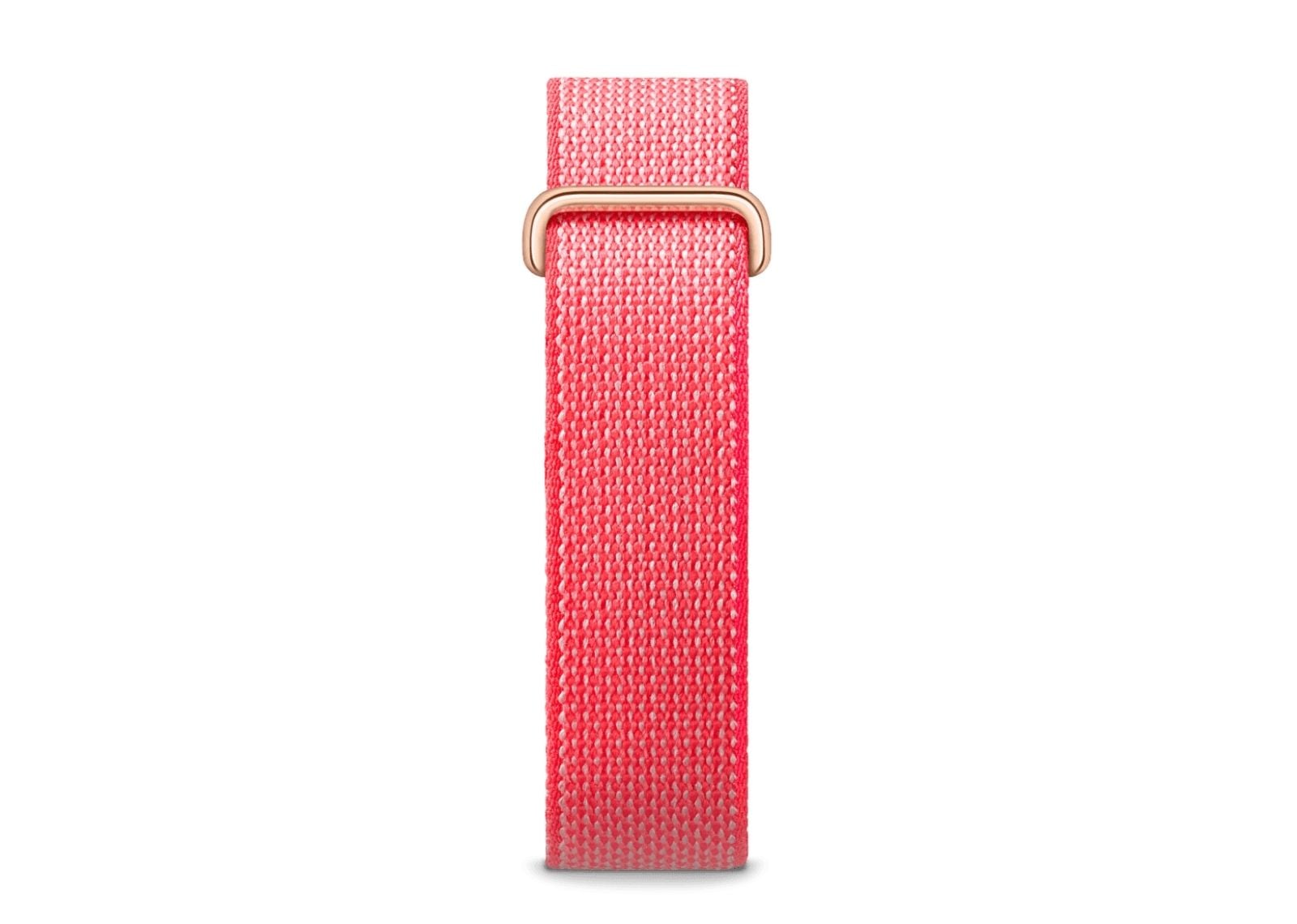 google fitbit air berry 2 1