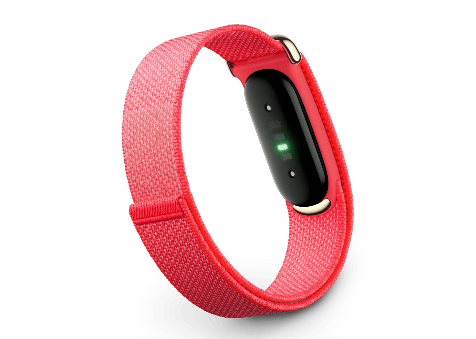 google fitbit air berry 3 1