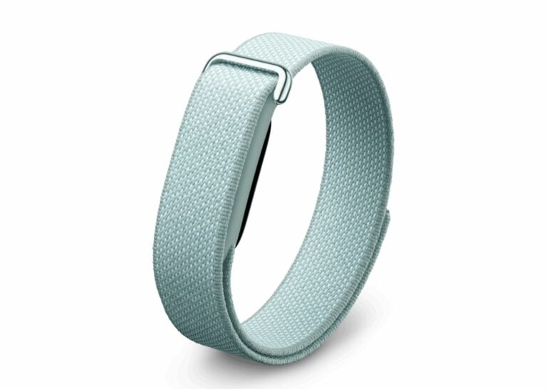 Google Fitbit Air Mist