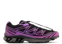 Salomon XT-6 Iridescent Pack
