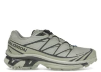 Salomon XT-6 Gore-Tex Tea Peat