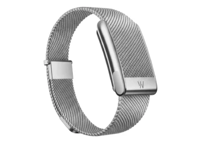 Whoop Alloy Meridian Band