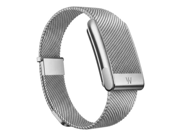 Whoop Alloy Meridian Band