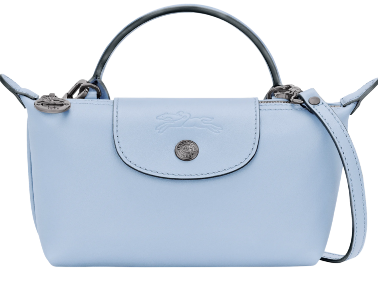 Longchamp Le Pliage Xtra XS Pouch Wave