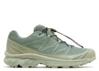 Salomon XT-6 Gore-Tex Desert Sage