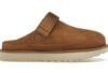UGG Goldenstar Clog Chestnut süet platform clog