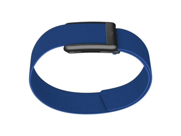 Whoop Royal Blue CoreKnit Bicep Band