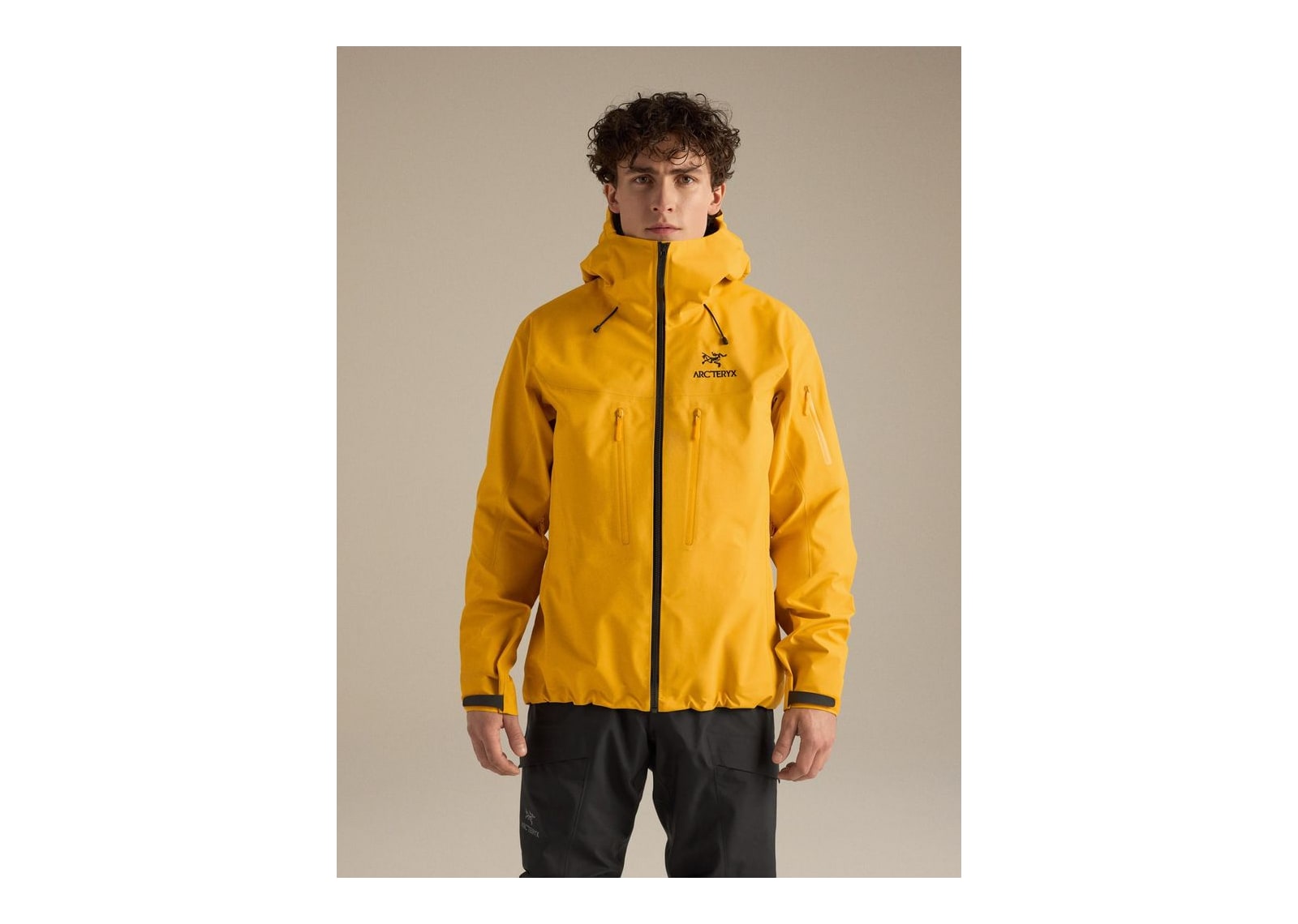 Arc’teryx Alpha SV Jacket Larch - görsel 2