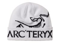 Arc'teryx Bird Word Toque Orca