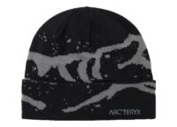 Arc'teryx Grotto Toque Black/Void
