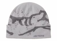Arc'teryx Grotto Toque Solitude/Void