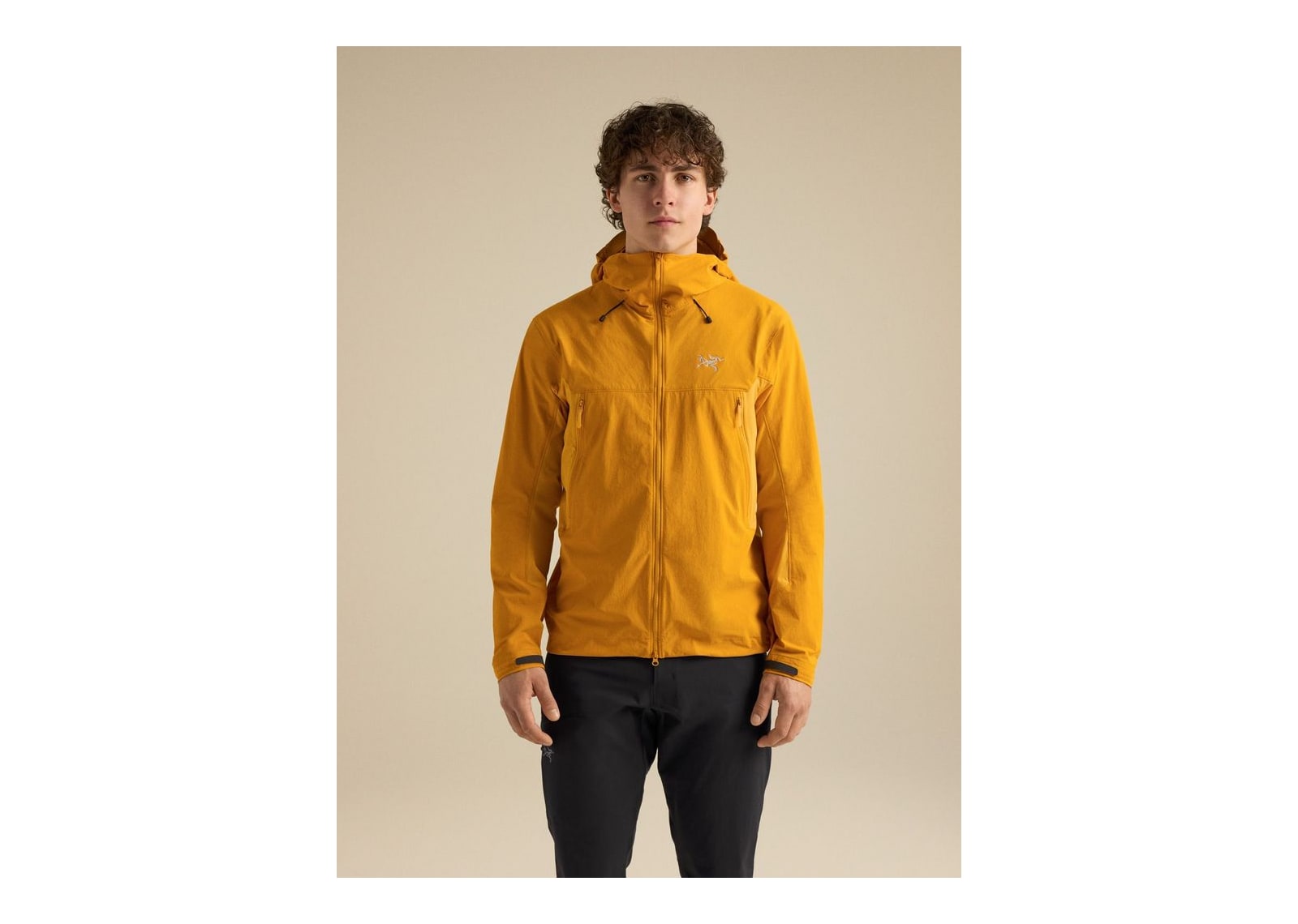 Arc’teryx Serratus Hoody Nucleus/Larch - görsel 2