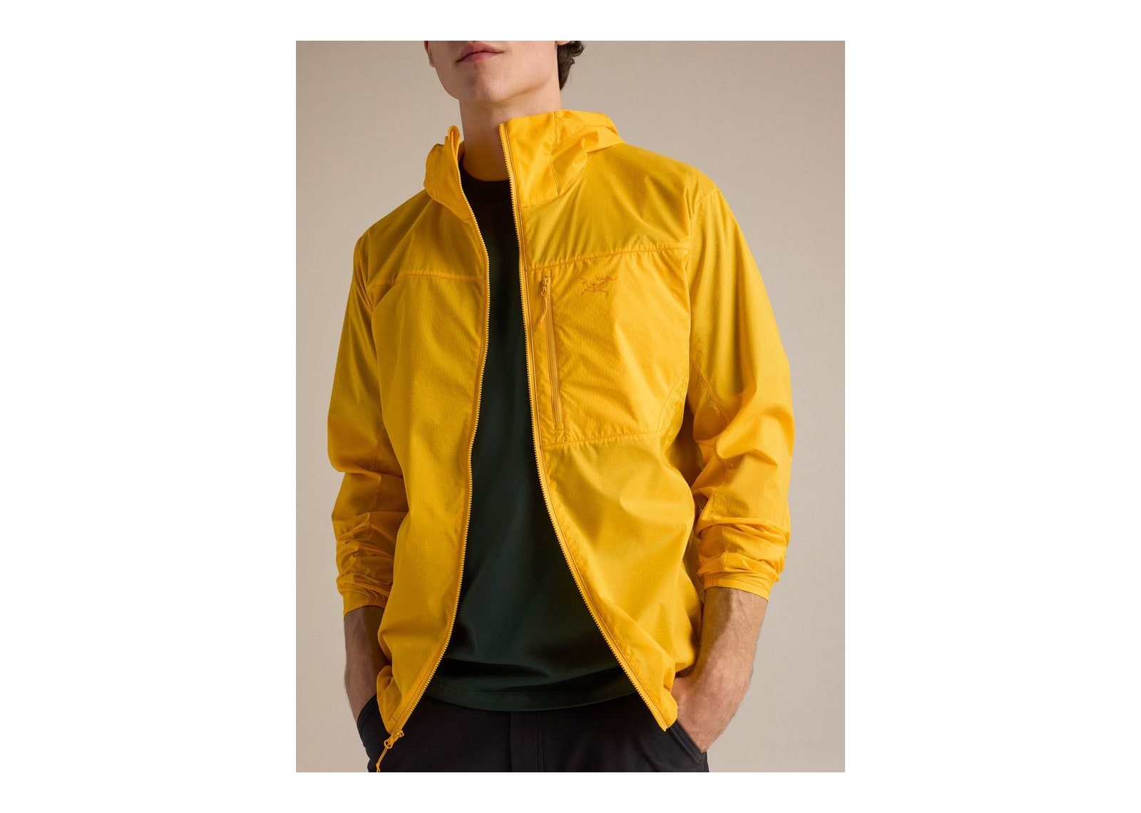 Arc’teryx Squamish Hoody Larch - görsel 10