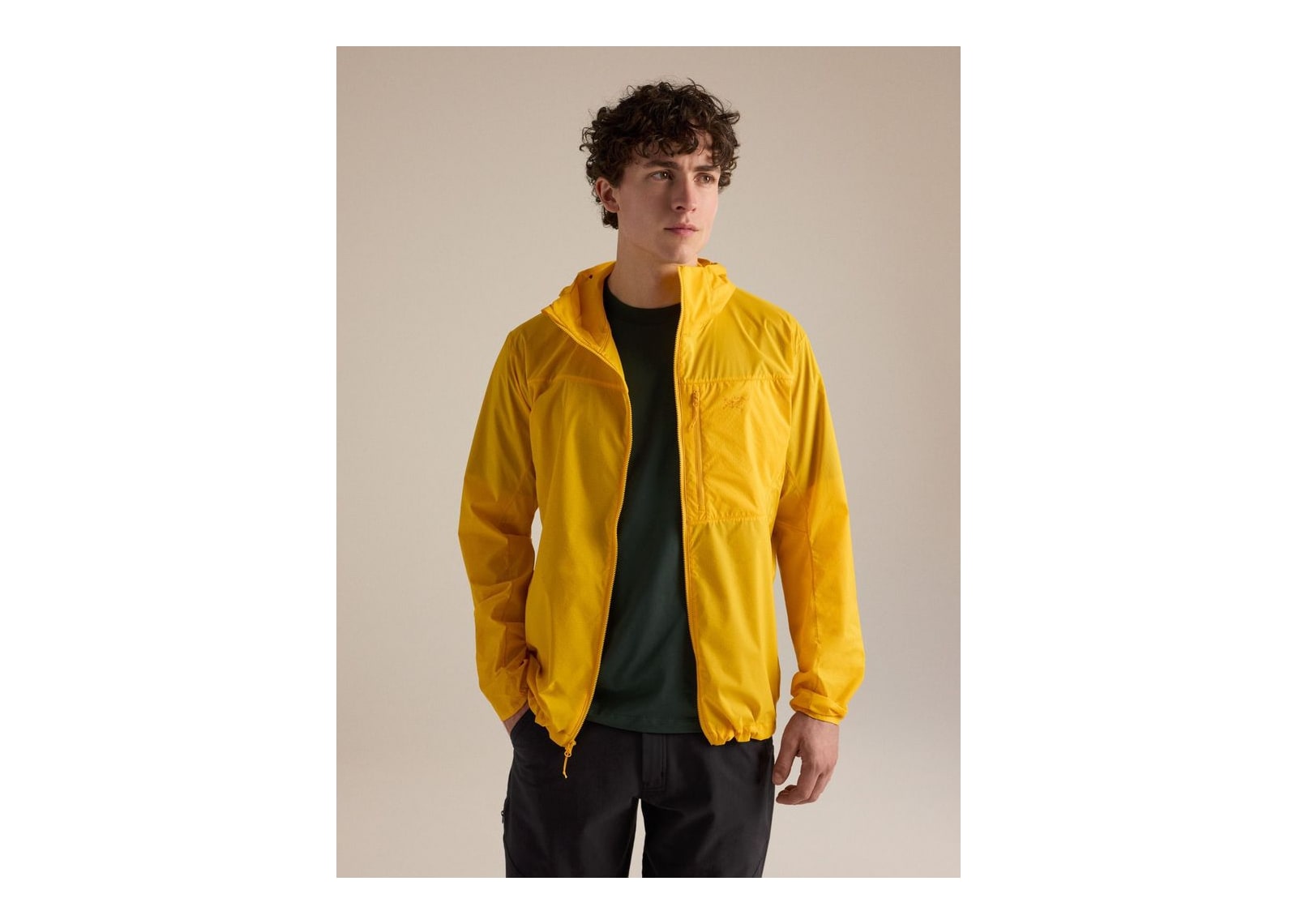 Arc’teryx Squamish Hoody Larch - görsel 11