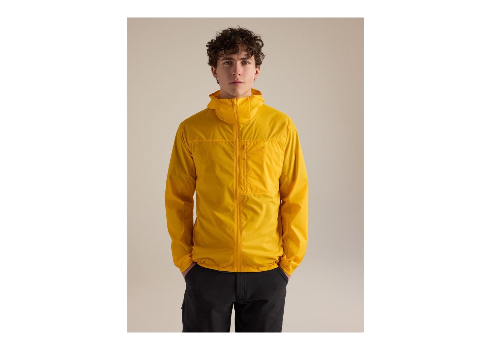 Arc’teryx Squamish Hoody Larch - görsel 2