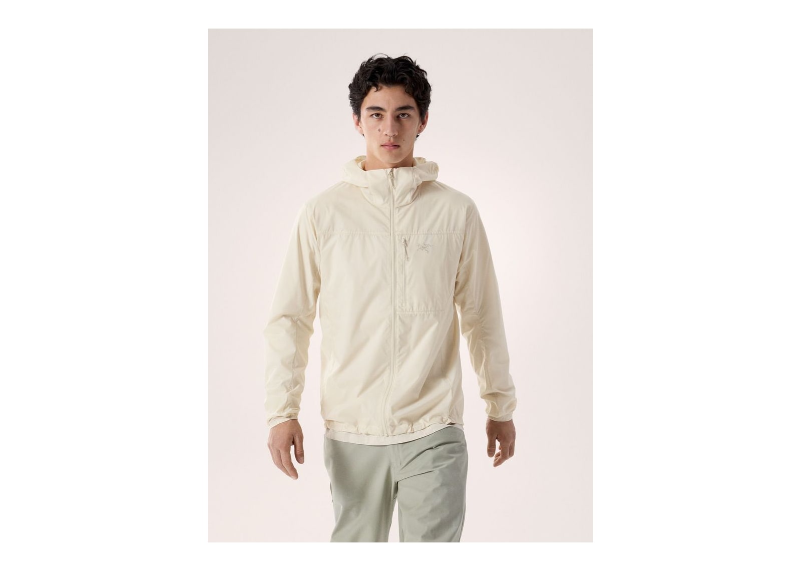 Arc’teryx Squamish Hoody Sea Salt - görsel 2