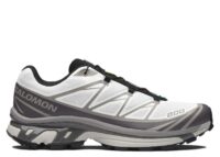 Salomon XT-6 White Excalibur Paloma