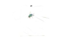 Stussy Fly Gear Tee White