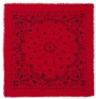Small Hachi Bandana Red Flag