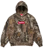 Supreme Box Logo Hooded Sweatshirt Realtree AP Camo