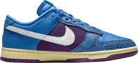 Nike Dunk Low Undefeated 5 On It